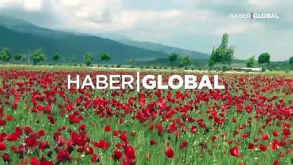 Kendiliğinden yetişen gelinciklerin görsel şöleni