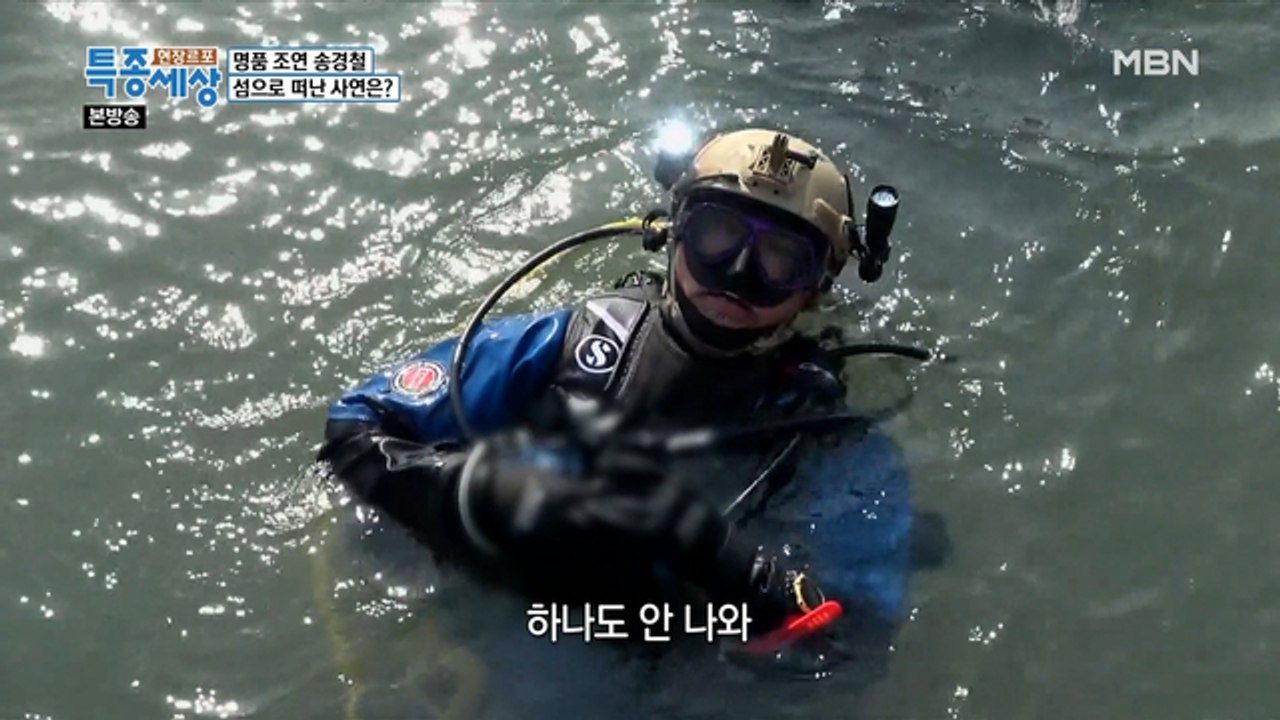 다이버들 함께하는 '수중 정화 작업'