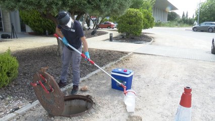 La detección precoz de la Covid-19, objetivo de un estudio en Valencia