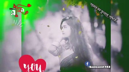 আমার মন ভুলানো পাখিরে/amar mon vulano pakhire...