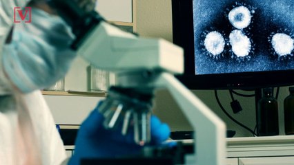 Tax Day Could Be Pushed Further Back as White House Eyes September or December Filing Deadline