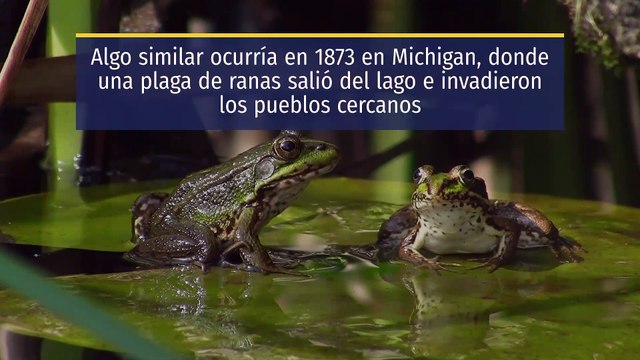 Las 10 plagas de Moisés analizadas por la ciencia