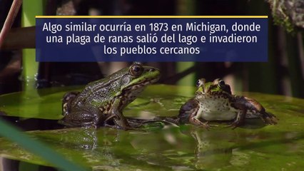 Las 10 plagas de Moisés analizadas por la ciencia