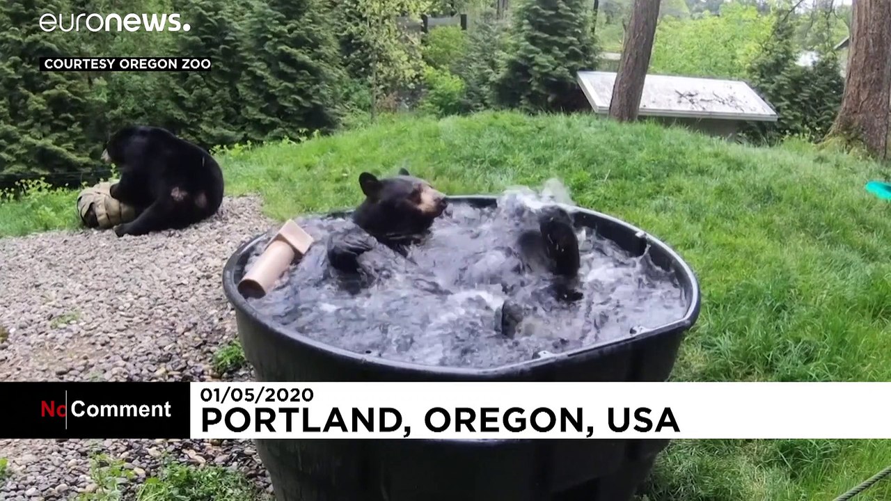 Takoda nimmt ein Bad