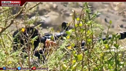 Yemen'de özel kuvvetler komutanı öldürüldü