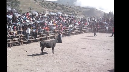 TARDE DE TOROS DE PUEBLO