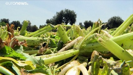 En Italie, vers une régularisation massive pour les sans-papiers ?