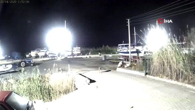 Yerleşim yerine inen kurt güvenlik kameralarına takıldı