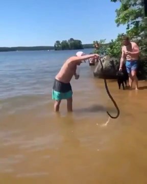 Il attrape un serpent et le jette sans regarder où il l’envoie