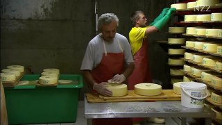 Cheesemaking - visiting a Swiss dairyman