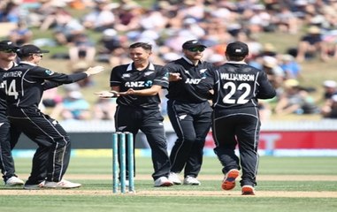 Stadium: Real reason behind Team India's loss in Hamilton ODI