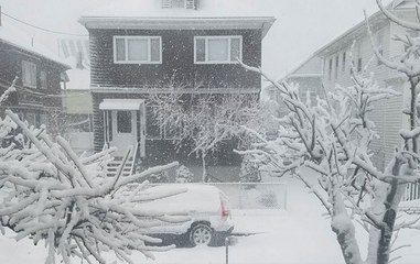 Bone-chilling cold in America, mercury dips to -50 degree