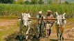 Breaking: Government extends PM-KISAN Pension Yojana to all farmers