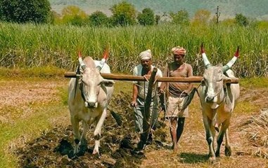 Breaking: Government extends PM-KISAN Pension Yojana to all farmers
