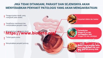 BioDeto ulasan – aman dan efektif suplemen untuk menurunkan berat badan?