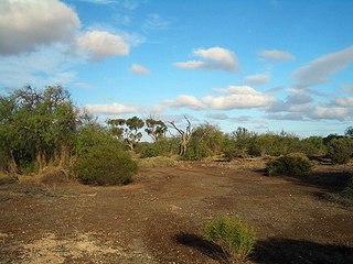 Environmental damage - Wikipedia audio article