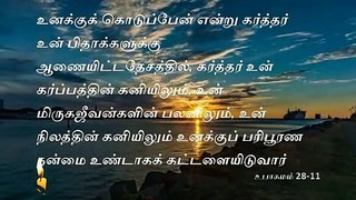 Today's Bible reading இன்றைய நாளுக்கான இறைவசனம் உபாகமம் 28 11 --09 05 2020