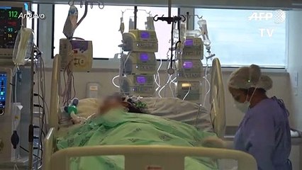 Novo recorde de mortos