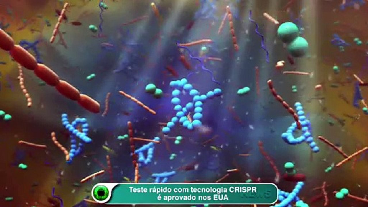 Teste rápido com tecnologia CRISPR é aprovado nos EUA