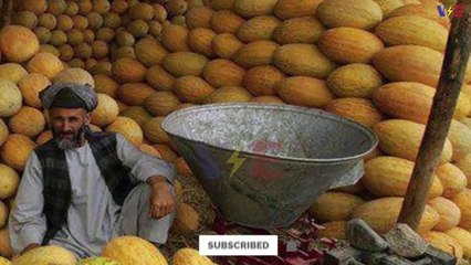 Kharbooza aftari me khany sy kia hota ha ||  Melon  Advantages disadvantages