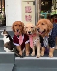 Zorla düğün fotoğrafına dahil edilmeye çalışılan ailenin ergen evladı (temsili) 