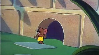 Little Runaway - Tom & Jerry - Kids Cartoon