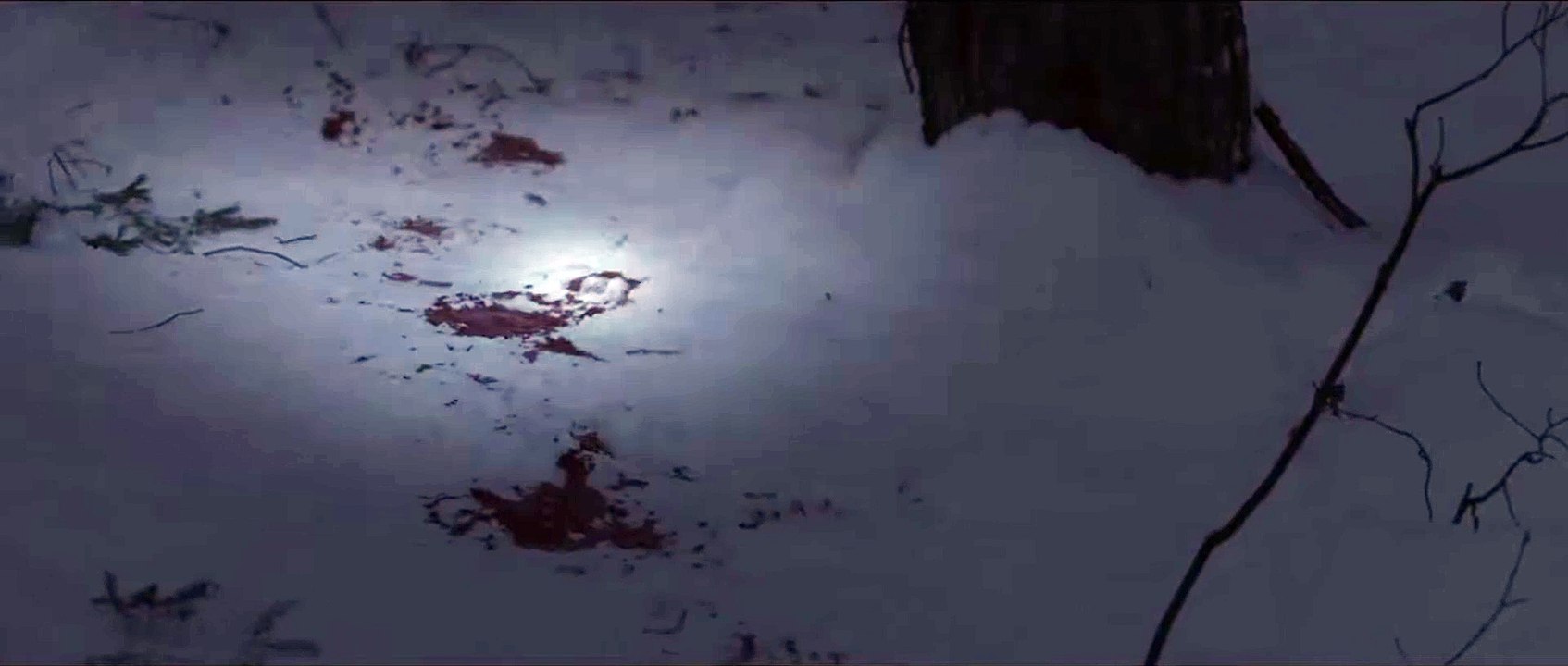 Witches In The Woods Movie Clip - Leg Trap