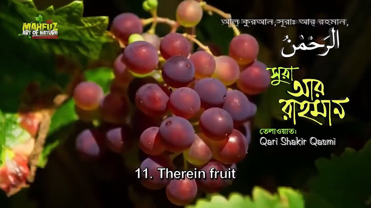 055) Surah Ar Rahman - সূরা আর রাহমান  - বাংলা অনুবাদ
