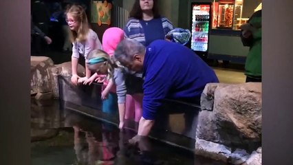 Funny Kids at the Aquarium - Girl SPOOKED By A Beluga Whale!