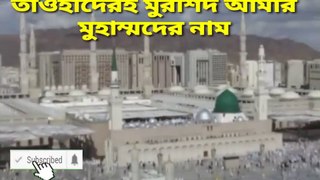 Tawhider e murshid bangla Islamic song(তাওহীদের ই মুরশিদ আমার) by Habib ll Naate rasul.