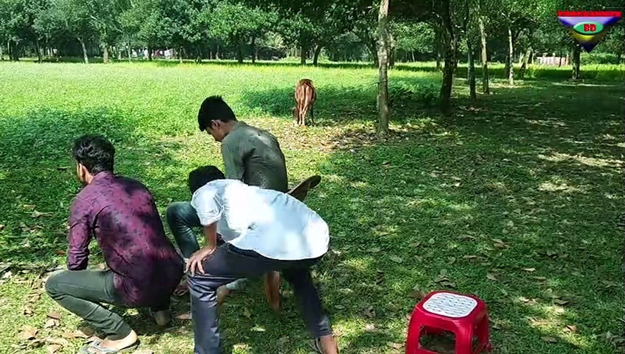 Try Not To Laugh Challenge