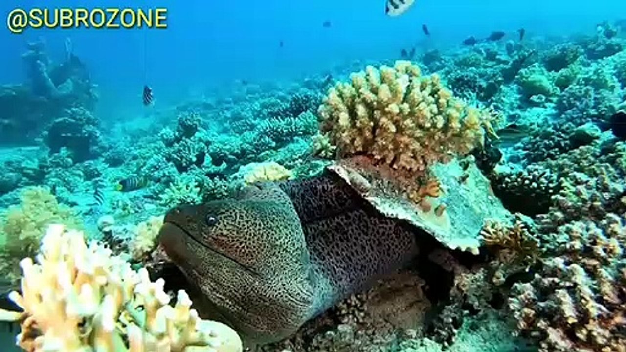 समुद्र के इन 3 छुपे हुये रहस्यों को जानकर आप दंग रह जायेंगे। 3 Unsolved Mystery Of Sea in HINDI