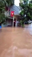 Ngập lụt tại Ba Chẽ, Quảng Ninh