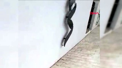 ADANA Sokak köpeklerini dövdüğü iddia edilen güvenlik görevlisi Hepsini mermi manyağı yapacağım