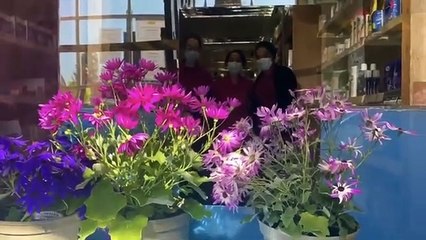 Cambridgeshire police 'Don't Quit' Covid-19 video