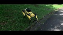 Singapore robot enforces safe distancing among park-goers