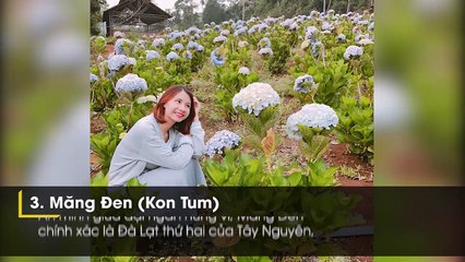 5 phiên bản khác nhau của miền đất thơ Đà Lạt