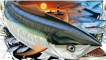 Mackerel Favourite fishing lure strike on Trolling | Surmai ka Shikar Samendar mein