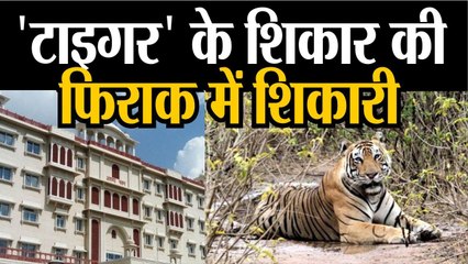 18 दुर्लभ जीवों का शिकार करने की तैयारी