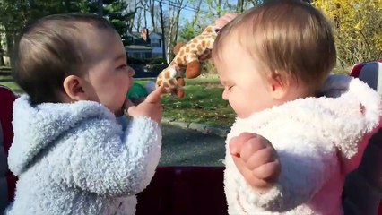 Funny Twin Babies Arguing Over