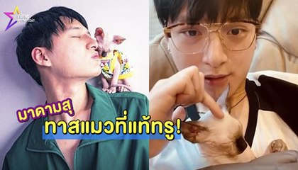 มาดามสุ : เปิดมุมคิ้วท์ "คริส พีรวัส" ทาสแมวตัวจริง!