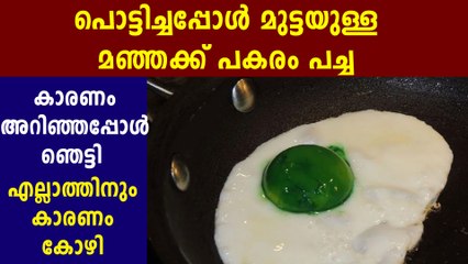 Reason Behind Green Egg Yolk