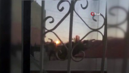 Vicdansız, köpeklere böyle eziyet etti