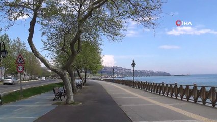 Sokağa çıkma kısıtlaması nedeniyle boş kalan sahil martılara emanet