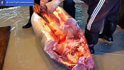 Bluefin Tuna Cutting Skills, Tuna Belly Sashimi - 黑鮪魚切割技能 - Fish Market in Taiwan
