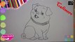 Cómo Dibujar  a un Perro 2020  Niños How To Draw Dog  Kids