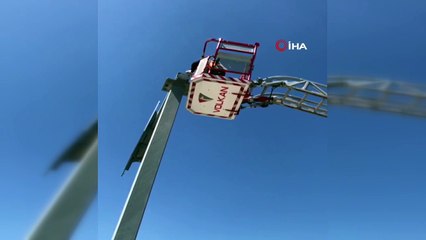 Yuvasından yola düşen yavru kuşları itfaiye kurtardı