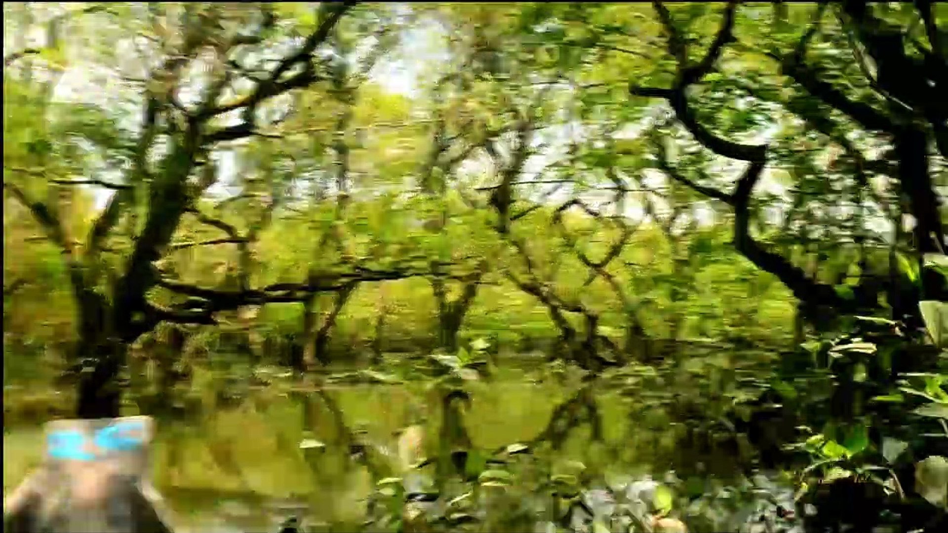 ⁣Top 10 Places You Need To Visit In Bangladesh | Most Visited Places in BD 2019-20 | Unknown Theory