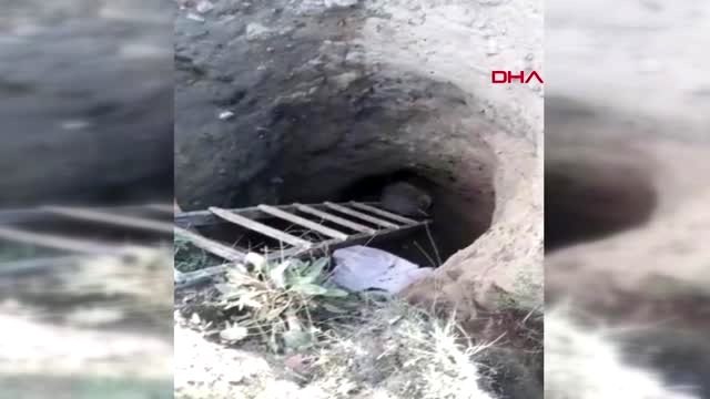 AKSARAY Çukura düşen anne porsuk ve yavrusu kurtarıldı