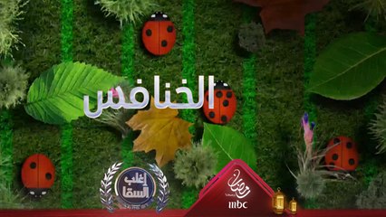 رامي عياش شاطر في حساب الخنافس ويتفوق على السقا في واحدة من أغرب فقرات البرنامج